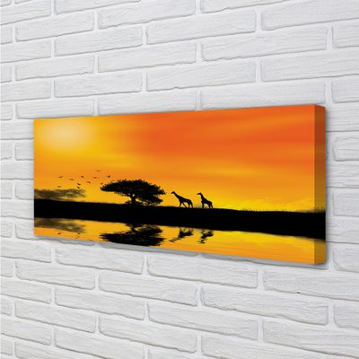 Pintura em tela Girafas pôr do sol árvore lago