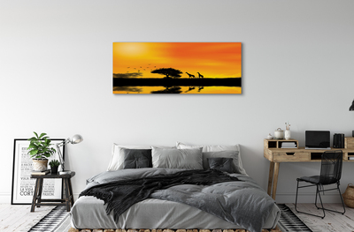 Pintura em tela Girafas pôr do sol árvore lago