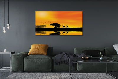 Pintura em tela Girafas pôr do sol árvore lago