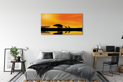Pintura em tela Girafas pôr do sol árvore lago