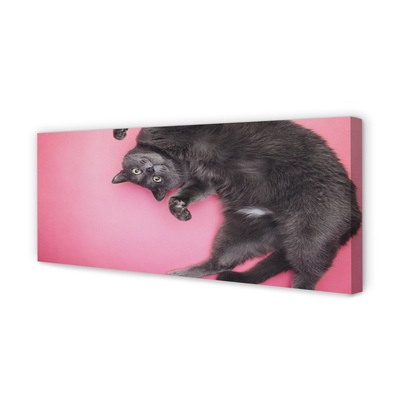 Quadro em tela Gato deitado