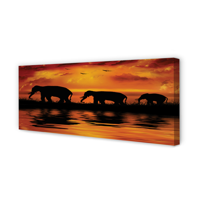 Quadro em tela Pôr do sol no Lago dos Elefantes
