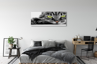 Pintura em tela Gato cinza e preto