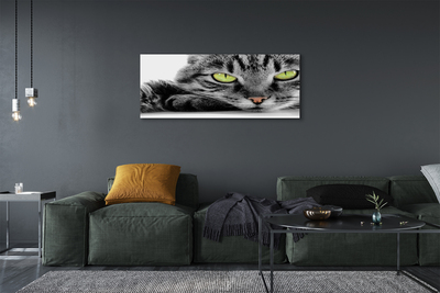 Pintura em tela Gato cinza e preto
