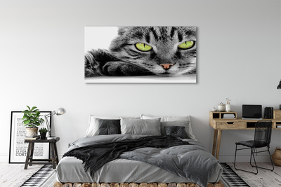 Pintura em tela Gato cinza e preto