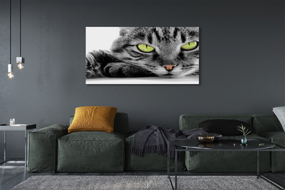 Pintura em tela Gato cinza e preto