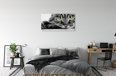 Pintura em tela Gato cinza e preto