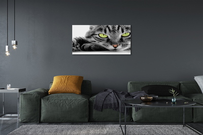 Pintura em tela Gato cinza e preto