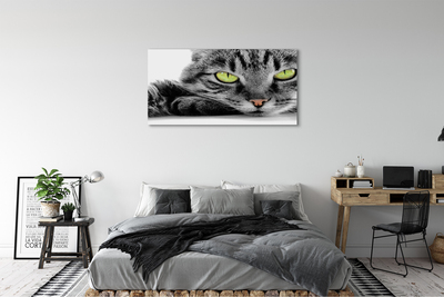 Pintura em tela Gato cinza e preto