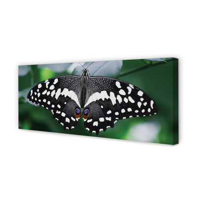 Pintura em tela Folhas coloridas de borboletas