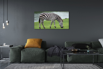 Quadro em tela Costelas