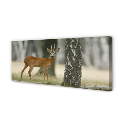 Pintura em tela Floresta de veados