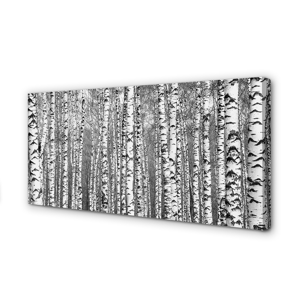 Quadro em tela Árvores pretas e brancas