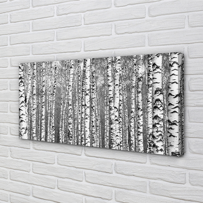 Quadro em tela Árvores pretas e brancas