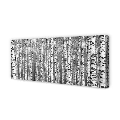 Quadro em tela Árvores pretas e brancas