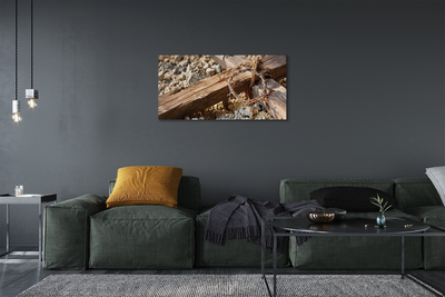 Quadro em tela Cruz, pedras, espinhos
