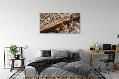 Quadro em tela Cruz, pedras, espinhos