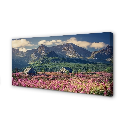 Quadro em tela Montanhas, campos, casas