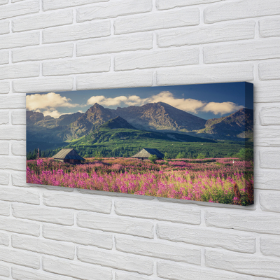 Quadro em tela Montanhas, campos, casas