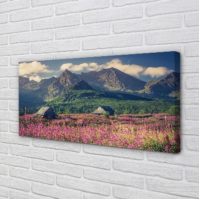 Quadro em tela Montanhas, campos, casas