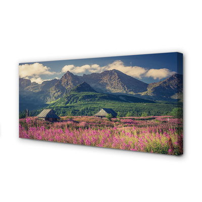 Quadro em tela Montanhas, campos, casas