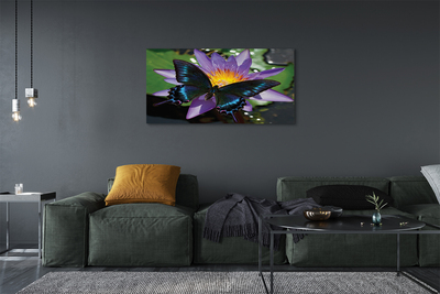 Pintura em tela Flor borboleta