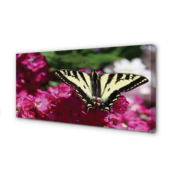 Quadro em tela Flores de borboleta