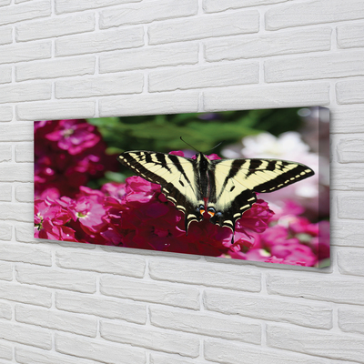 Quadro em tela Flores de borboleta