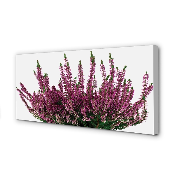 Pintura em tela Mesclado