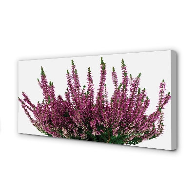 Pintura em tela Mesclado