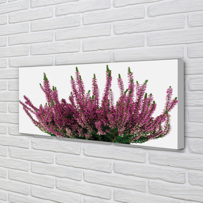 Pintura em tela Mesclado