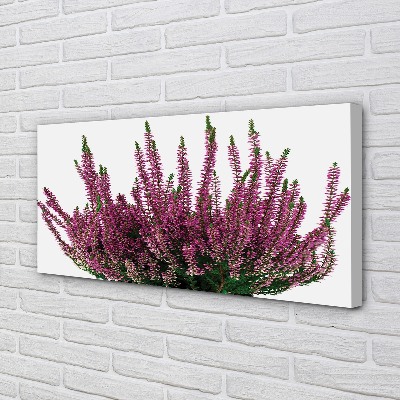 Pintura em tela Mesclado