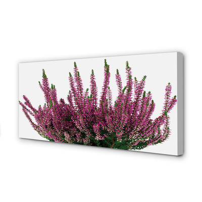 Pintura em tela Mesclado