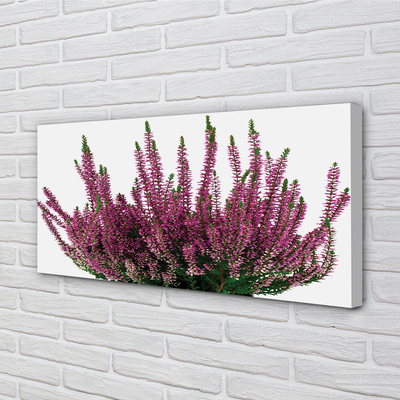 Pintura em tela Mesclado