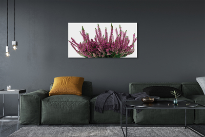 Pintura em tela Mesclado