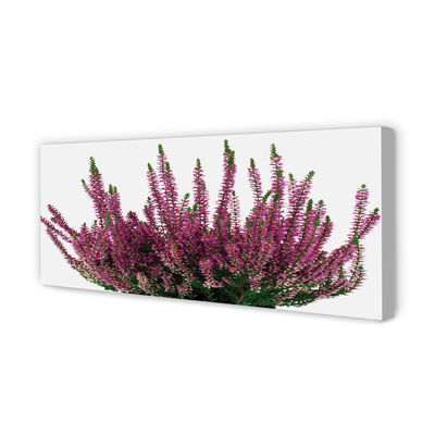 Pintura em tela Mesclado