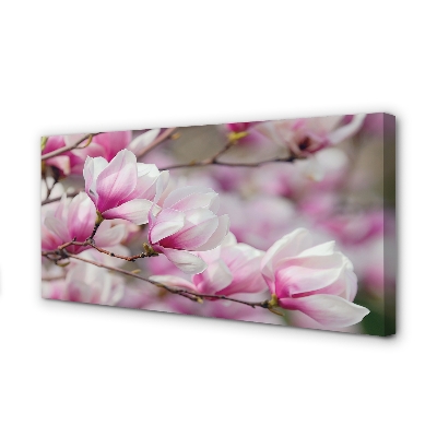 Quadro em tela Flores de árvores