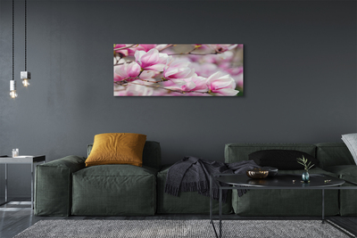 Quadro em tela Flores de árvores