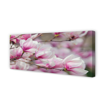 Quadro em tela Flores de árvores