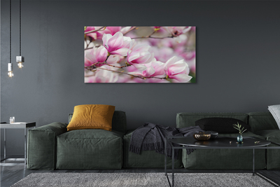 Quadro em tela Flores de árvores