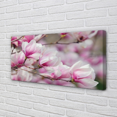 Quadro em tela Flores de árvores