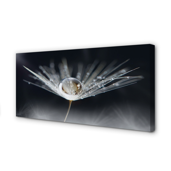 Pintura em tela Macro de gota de dente-de-leão