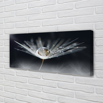 Pintura em tela Macro de gota de dente-de-leão