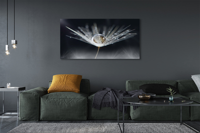 Pintura em tela Macro de gota de dente-de-leão