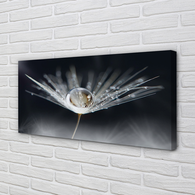 Pintura em tela Macro de gota de dente-de-leão