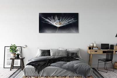 Pintura em tela Macro de gota de dente-de-leão