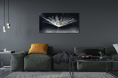 Pintura em tela Macro de gota de dente-de-leão