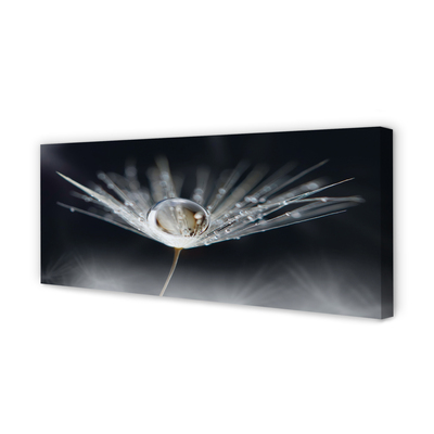 Pintura em tela Macro de gota de dente-de-leão