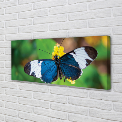 Pintura em tela Borboleta colorida em flores