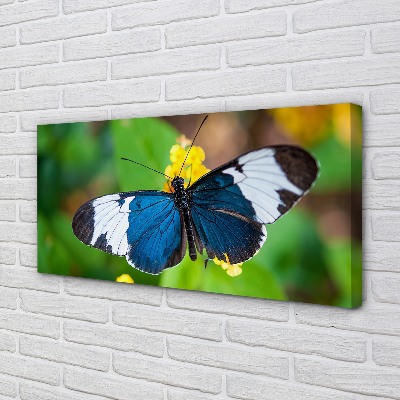 Pintura em tela Borboleta colorida em flores